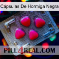 Cápsulas De Hormiga Negra 13